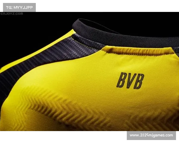 多特蒙德发布财报 上赛季净赚超五亿欧元展现强劲盈利能力